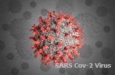SARS-Cov-2 Virus causes epidemics.